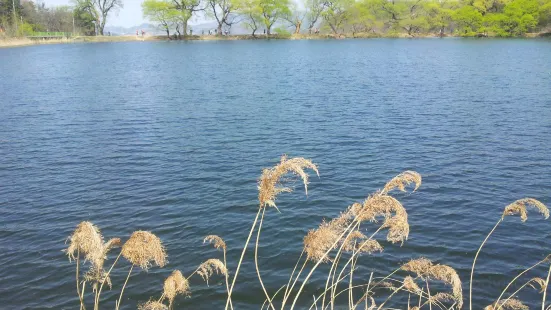 Bangokji Reservoir