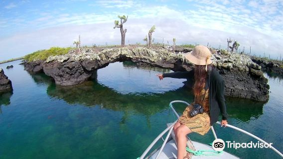 PAFECOMAR TOURS