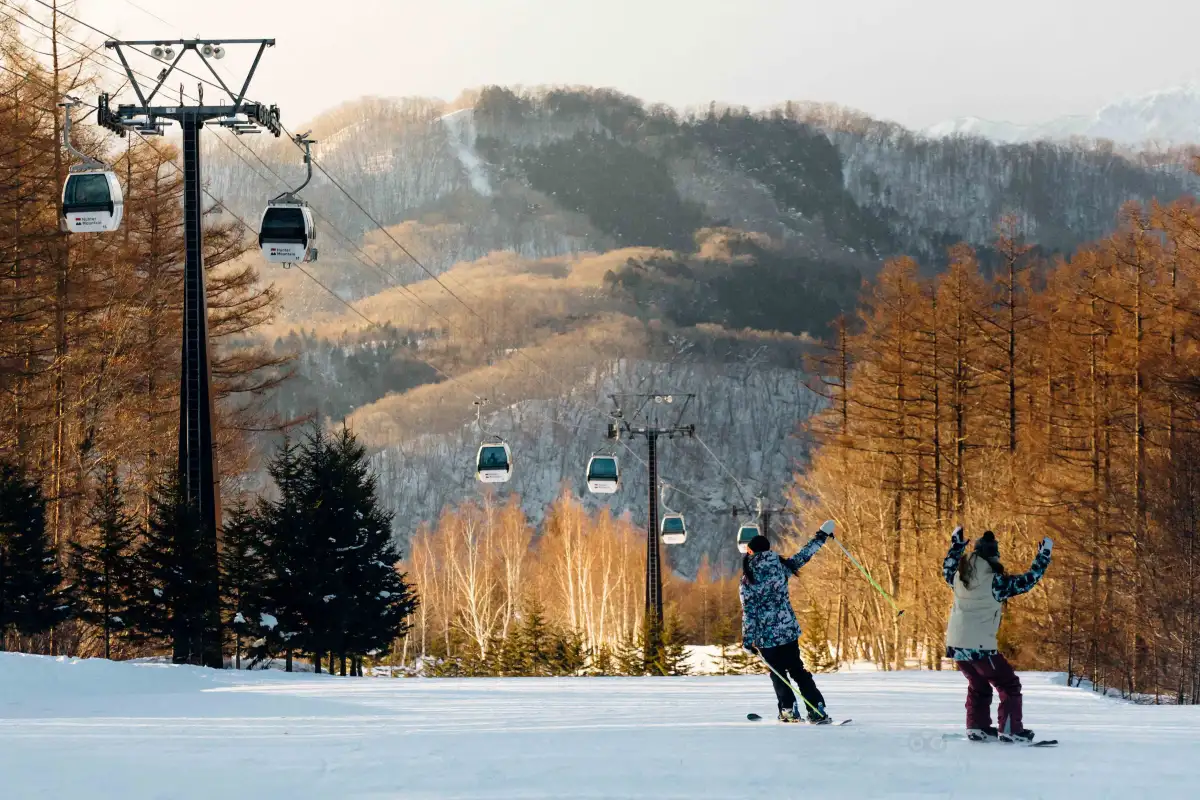 Ski