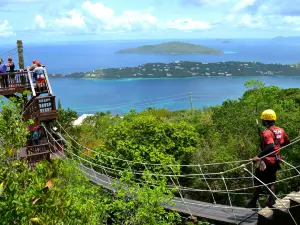 Tree Limin' Extreme Zipline St. Thomas