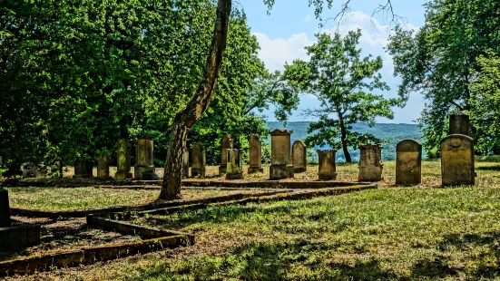 Judischer Friedhof auf dem Domberg