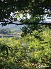 Lake Ryokusui