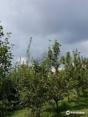 Justus Orchard