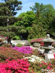 Jardín Botánico de Hamburgo