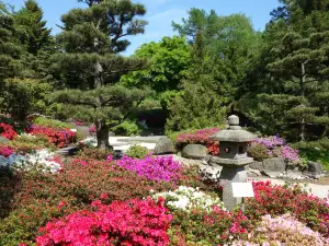 Jardin botanique de Hambourg