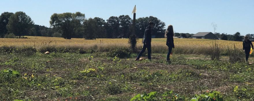 Riverbend Farm {Only OPEN IN OCTOBER]