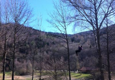 TREE ADVENTURE PARK