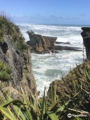 Waipu Pancakes Rocks