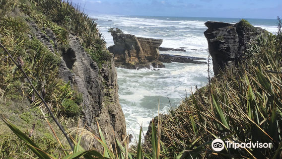 Waipu Pancakes Rocks