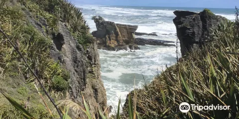 Waipu Pancakes Rocks