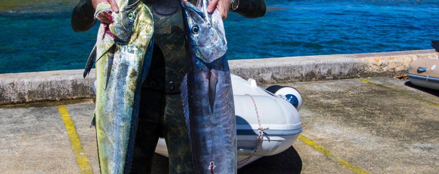 Fish Niue Charters