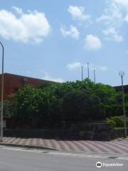 Ishigaki Civic Hall