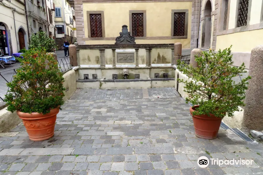 Fontana di San Rocco