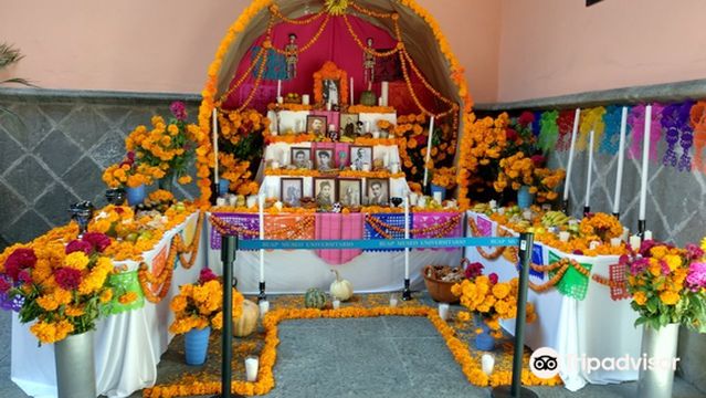 Museo Universitario Casa de Los Muñecos