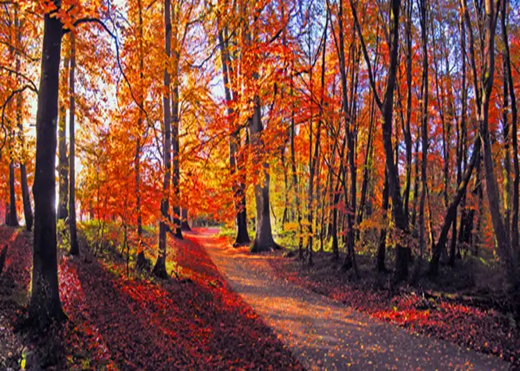 Hotels in North Tipperary