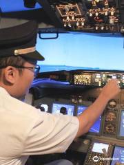 AirCREW Sensation - Flight Sim Experience Be A Captain