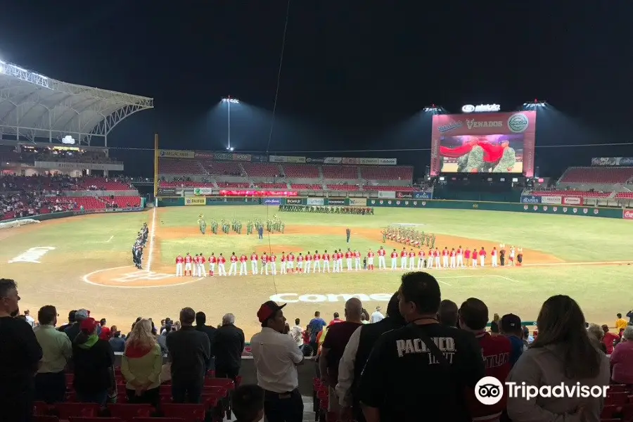 Teodoro Mariscal Baseball Stadium