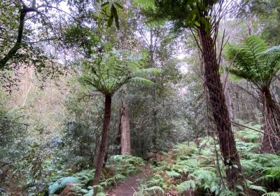 Birdwood Gully Park