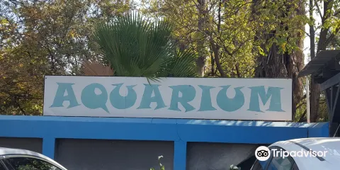 Hartbeespoort aquarium