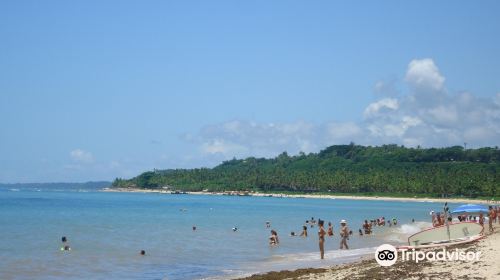 Aracaipe Beach