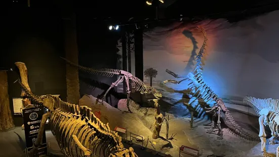 Paleontological Egidio Feruglio博物館