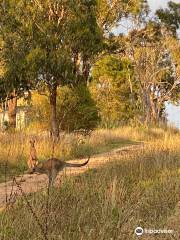 Kangaroo Boundary Road Reserve