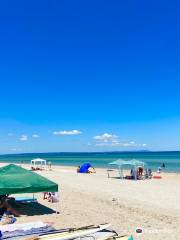 Aspendale Beach