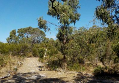 Bay Road Heathland Sanctuary