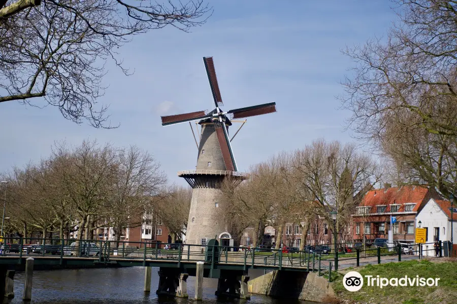 Museummolen de Walvisch