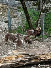 Parc zoologique Bienne