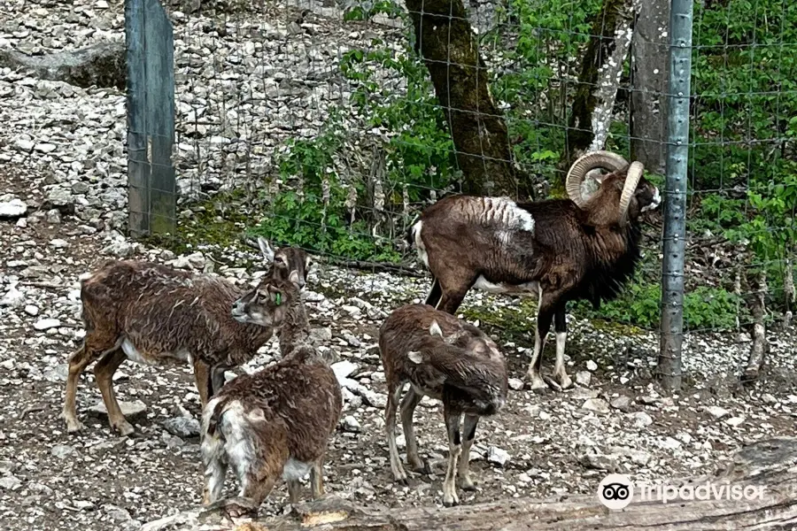 Parc zoologique Bienne