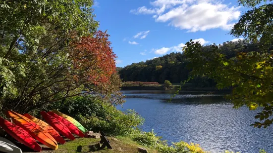 Wilgus State Park