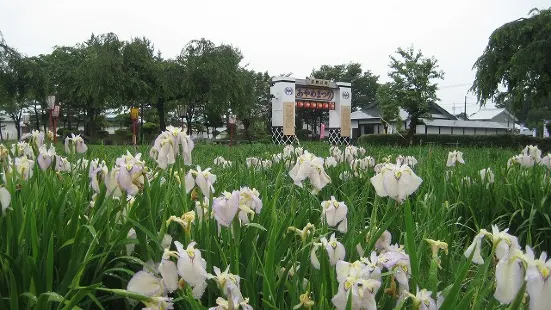 Asamai Park