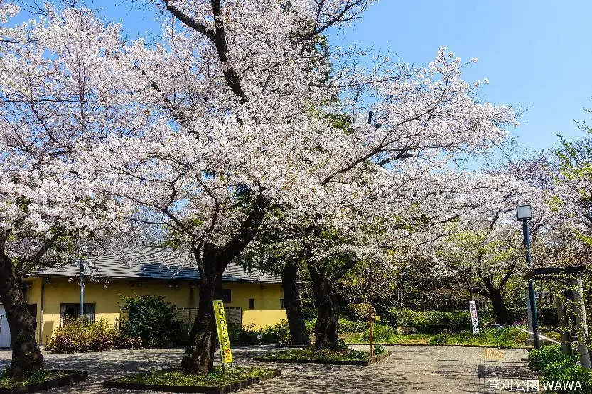 3_管刹公園