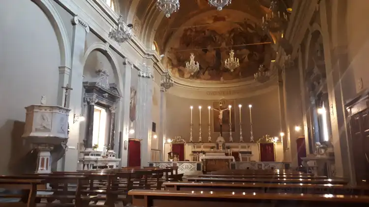 Massarosa