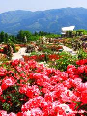 Jardín de rosas de Kanoya