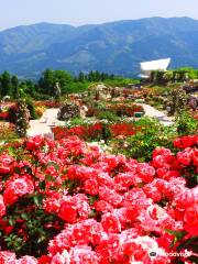 Kanoya Rose Garden