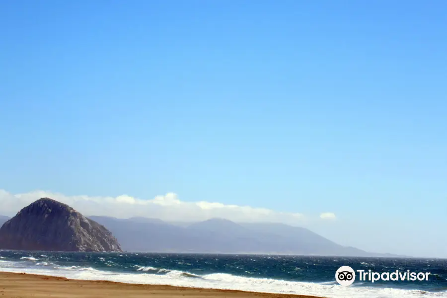 Morro Strand State Beach