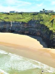 Bromore Cliffs