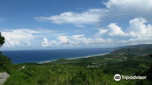 Cherry Tree Hill