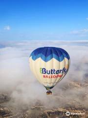 Butterfly Balloons