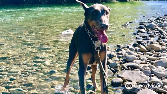 Bogachiel State Park