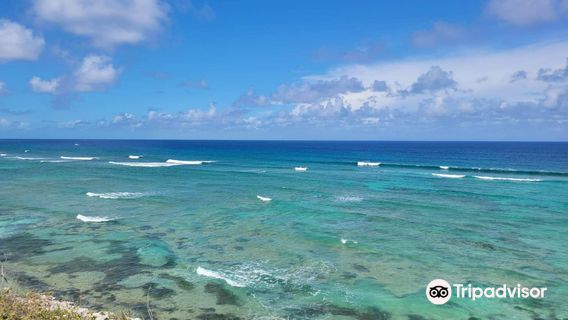 Island Trams Limited