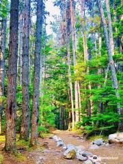 Lower Dewey Lake Hiking Trail