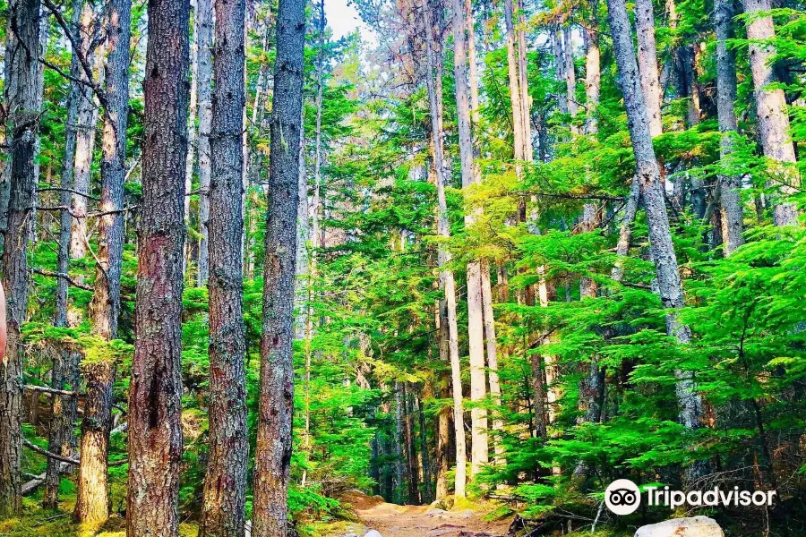 Lower Dewey Lake Hiking Trail