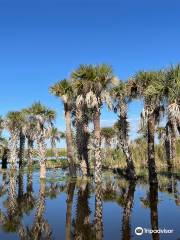 Swamp Donkey Airboat Rides