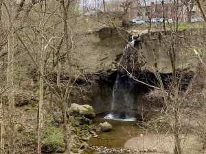 Williamsport Falls