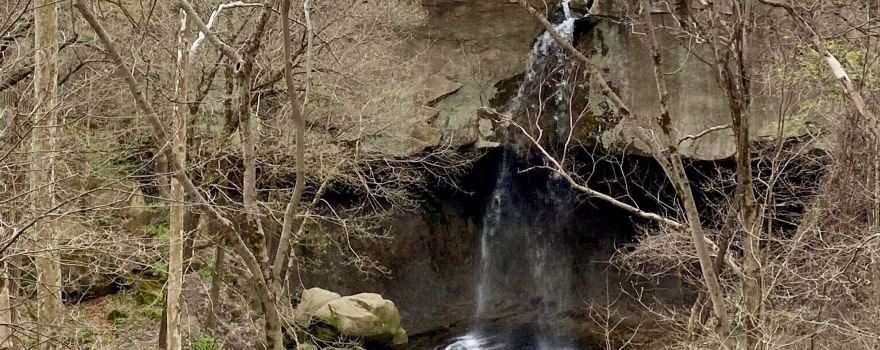 Williamsport Falls