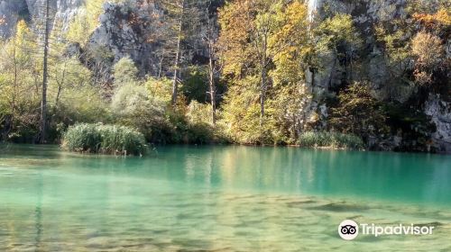 Plitvice Lakes by Boat&Bus from Island Krk