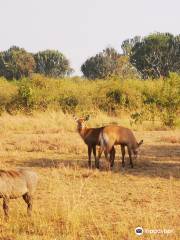 Fazil Safari Guide Uganda